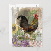  haan Franse collage Boerderij Pet Briefkaart (Voorkant / Achterkant)