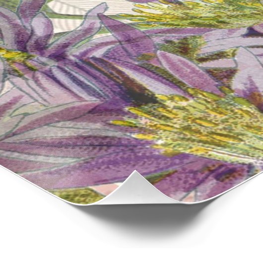  haan Franse collage Boerderij Pet Perfect Poster (Hoek)