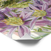  haan Franse collage Boerderij Pet Perfect Poster (Hoek)