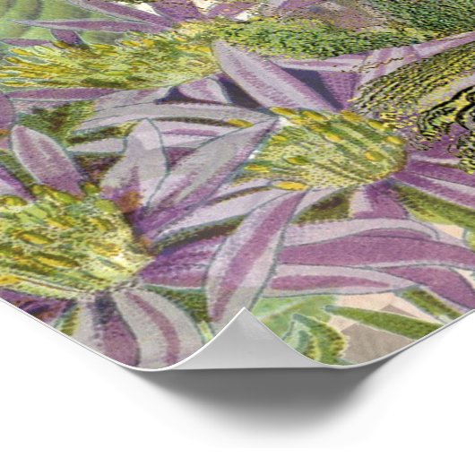  haan Franse collage Boerderij Pet Poster (Hoek)