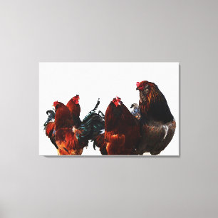 Haan Gang Kip Fotografische Kunst Canvas Afdruk