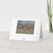 Haan, Gelukwensen Kaart (Achterkant)