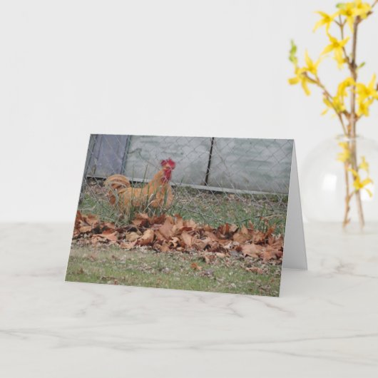 Haan, Gelukwensen Kaart (Gele Bloem)