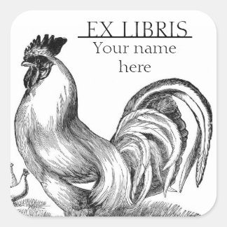 haan illustratie bookplate vierkante sticker