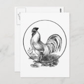 haan illustratie kaart (Voorkant / Achterkant)