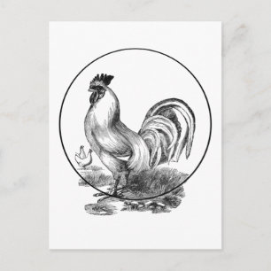  haan illustratie kaart