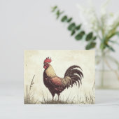 Haan illustratie  toon briefkaart (Staand voorkant)