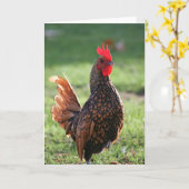 Haan, Kaart voor blanco notities (Gele Bloem)