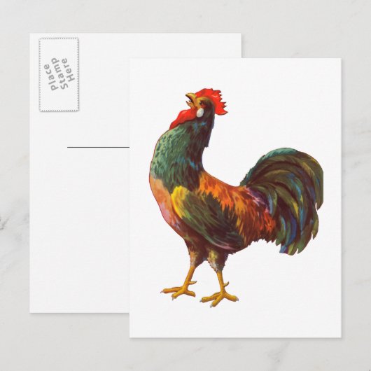 Haan  Keuken Kist Art Briefkaarten (Voorkant / Achterkant)