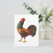 Haan  Keuken Kist Art Briefkaarten (Staand voorkant)