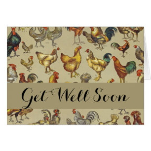 haan kippendier Boerderij landdier