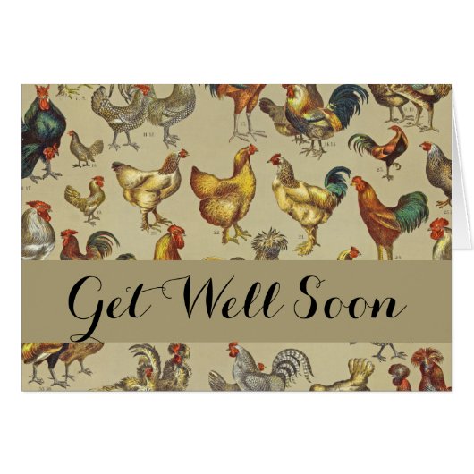 haan kippendier Boerderij landdier (Voorkant Horizontaal)