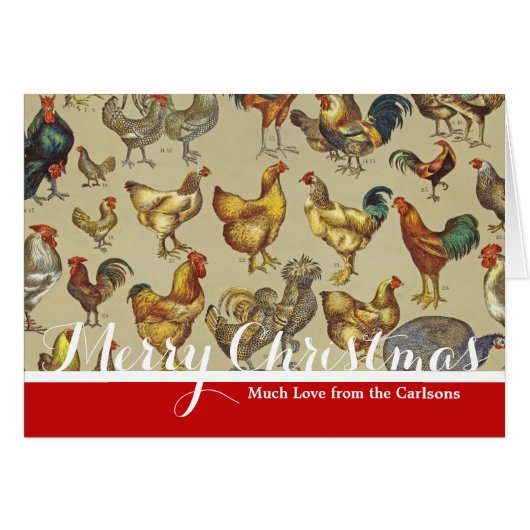 haan kippendier Boerderij landdier (Voorkant Horizontaal)