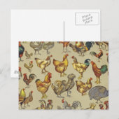 haan kippendier Boerderij landdier Briefkaart (Voorkant / Achterkant)