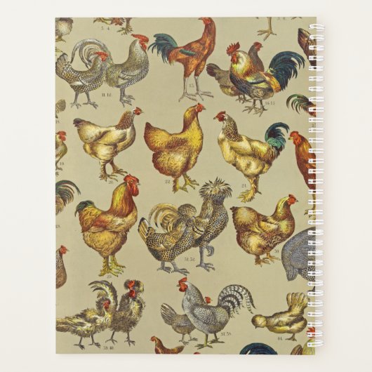 haan kippendier Boerderij landdier Planner (Achterkant)