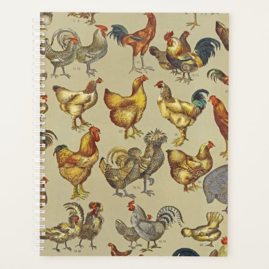 haan kippendier Boerderij landdier Planner (Voorkant)