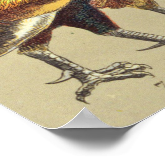 haan kippendier Boerderij landdier Poster (Hoek)