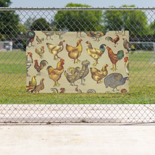 haan kippendier Boerderij landdier Spandoek (Insitu)