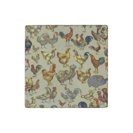 haan kippendier Boerderij landdier Stenen Magneet