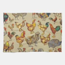 haan kippendier Boerderij landdier