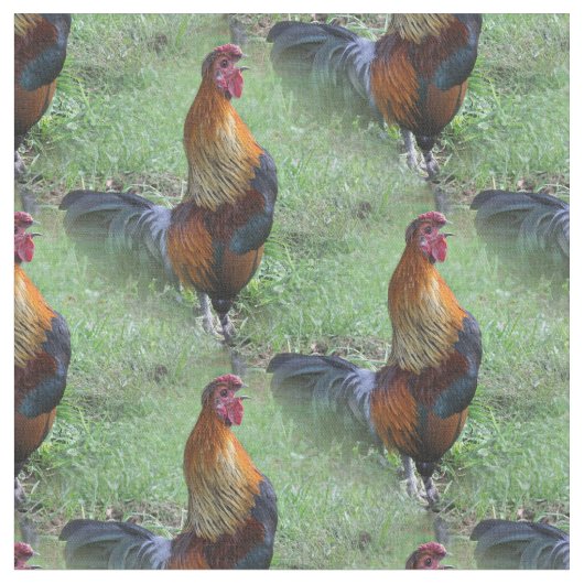 Haan Kraaiend Dier Natuur Patroon Stof (Close Up)