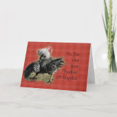 Haan met slechte houding kaart- voor elke gelegenh kaart (Voorkant)