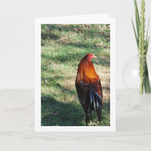 Haan op gras kaart (Voorkant)