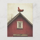 Haan op het dak briefkaart (Voorkant)