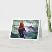 Haan Portret Kaart (Voorkant)