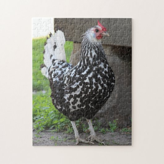 Haan puzzel (Verticaal)