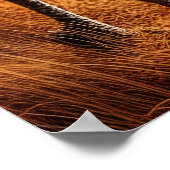 Haan Rendez-vous in de wei Poster (Hoek)