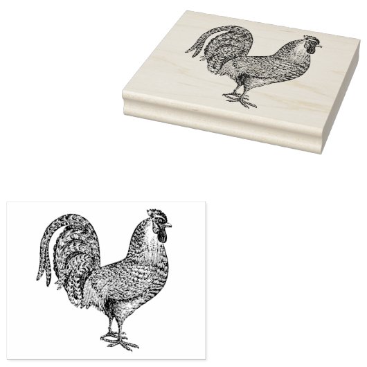 Haan Tekening Lithografie #1 Rubberstempel (Gestempeld)