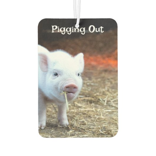 Haan Vibes / Pigging Out Luchtverfrisser (Achterkant)