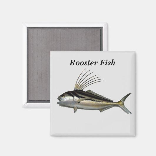 Haan vis achtergrond magneet (Voorkant / Achterkant)