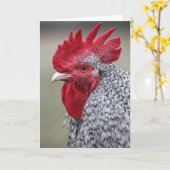 Haan zegt hallo kaart (Gele Bloem)