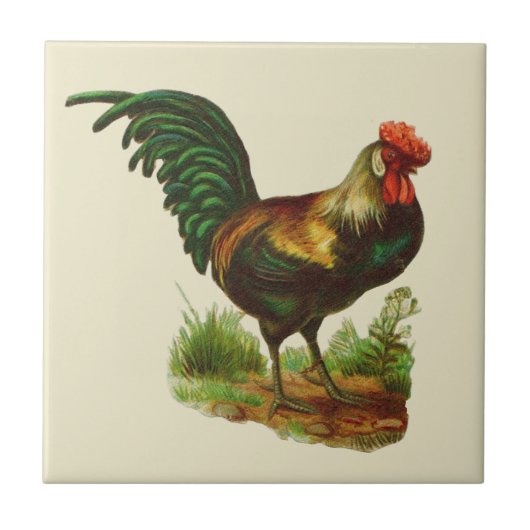 Haantje Country Kitchen Tegeltje (Voorkant)