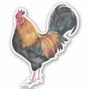 Haantje Kip Foto Sticker
