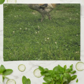 Haantje Kip Op de Boerderij  Theedoek (Gevouwen)
