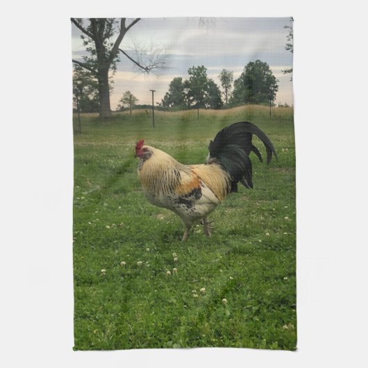 Haantje Kip Op de Boerderij  Theedoek (Verticaal)