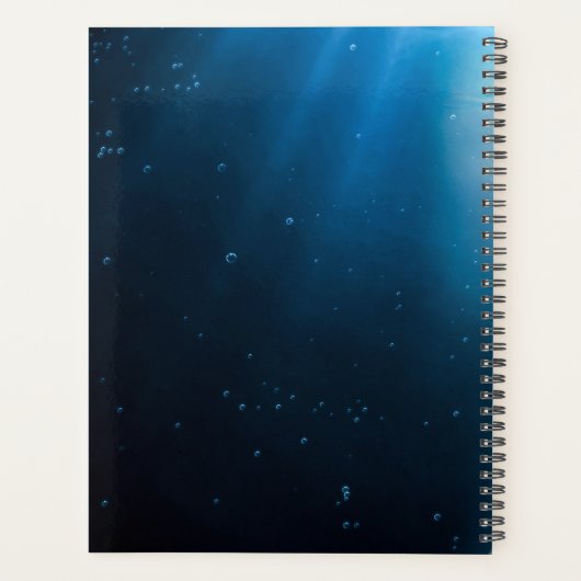 Haar Emerald Curls - Mermaid Hovering Underwater Planner (Achterkant)