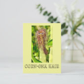 Haar Humor Post Kaart (Staand voorkant)