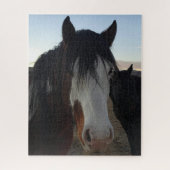 Haar in de ogen legpuzzel (Verticaal)