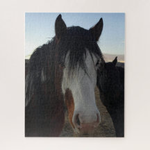 Haar in de ogen legpuzzel