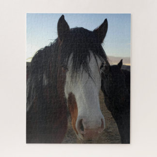 Haar in de ogen legpuzzel