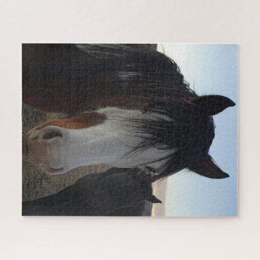 Haar in de ogen legpuzzel (Horizontaal)