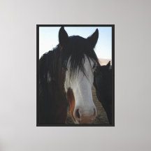 Haar in de ogen op canvas print