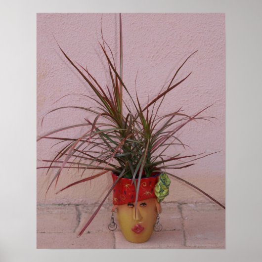 Haar, Lange mooie haar! Poster (Voorkant)