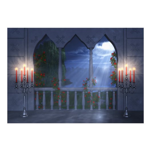 Haar Silver Mantle-foto Foto Afdruk (Voorkant)