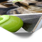 Haar trouwe focus poster (Hoek)