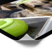 Haar trouwe focus poster (Hoek)